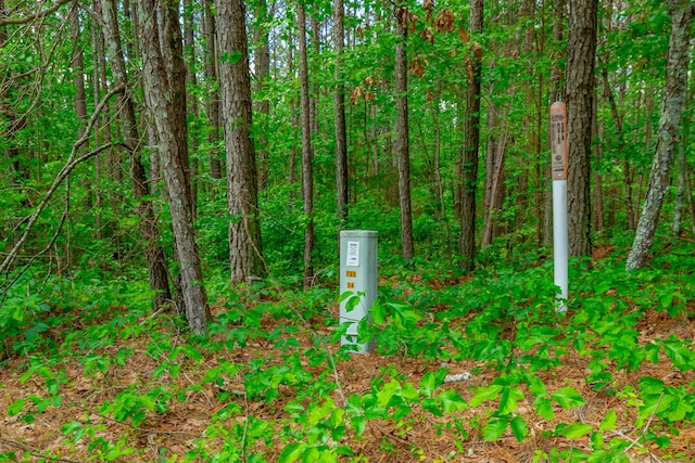 00 Walnut Grove Rd, Lafayette, GA 30728