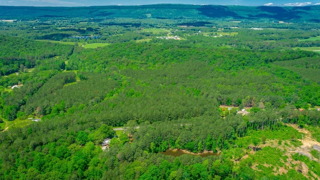00 Walnut Grove Rd, Lafayette, GA 30728