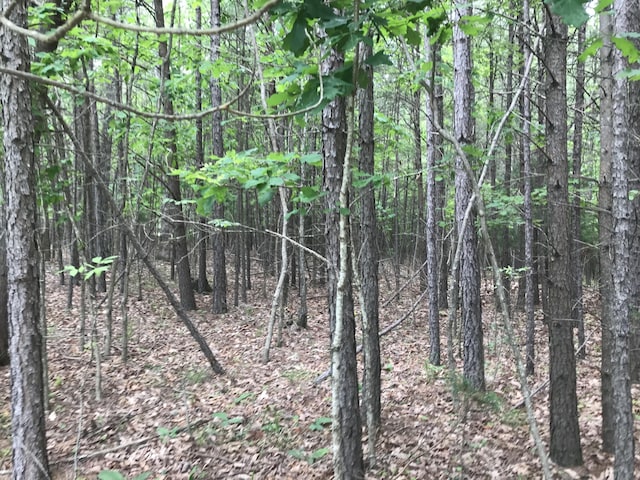 0 Bluffview Dr Unit 26, Dunlap, TN 37327