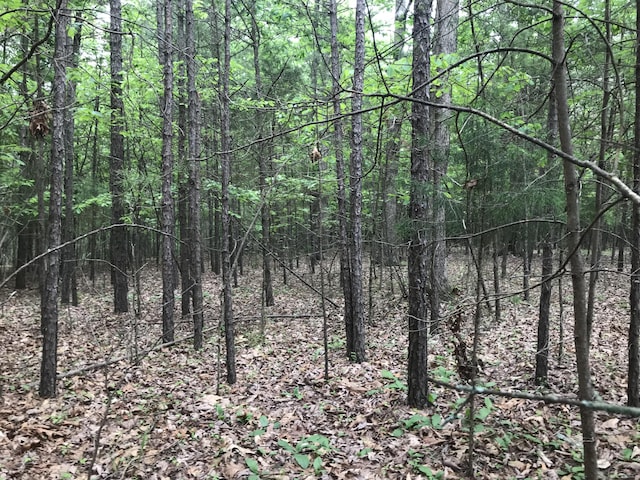 0 Bluffview Dr Unit 26, Dunlap, TN 37327