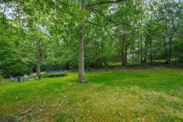 view of yard with a trampoline and a forest view
