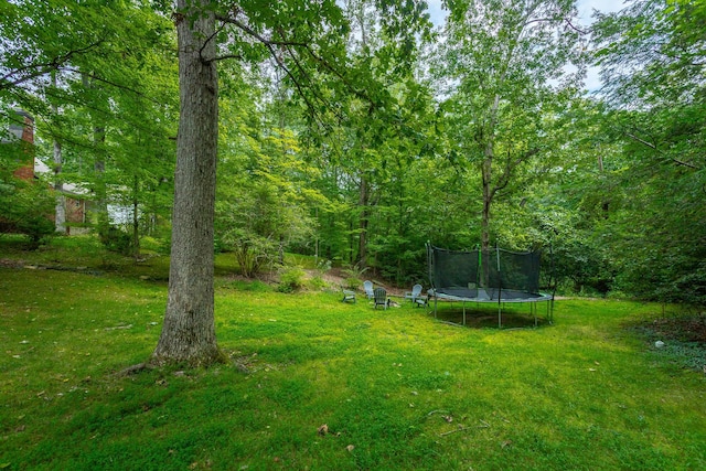 view of yard with a trampoline