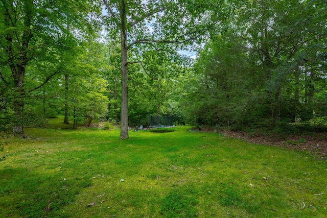 view of yard featuring a trampoline