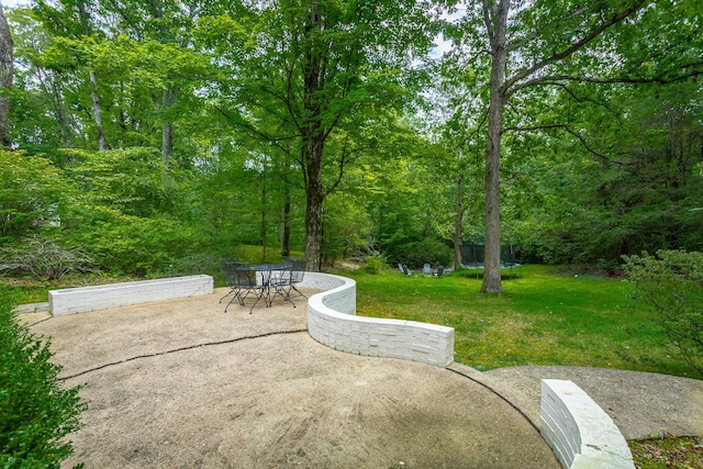view of community with a patio and a lawn