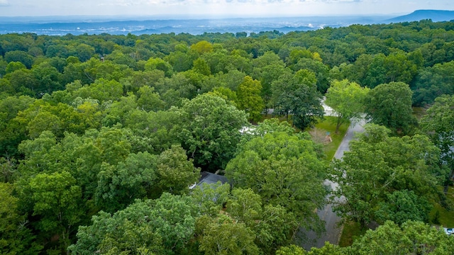 bird's eye view featuring a view of trees