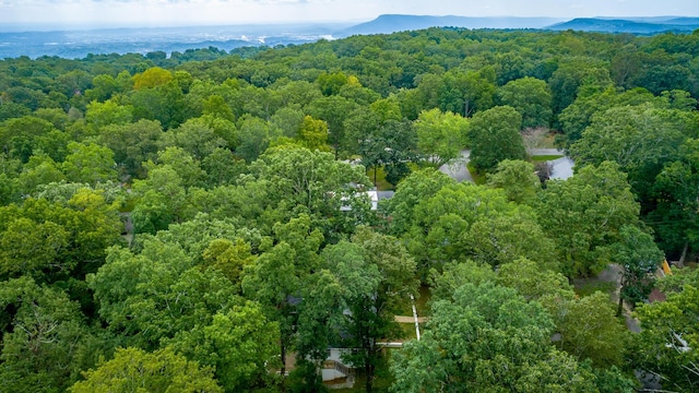 aerial view with a view of trees