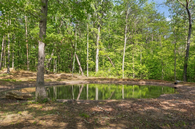 3086 Poe Rd, Soddy Daisy, TN 37379 - water view with a heavily wooded area