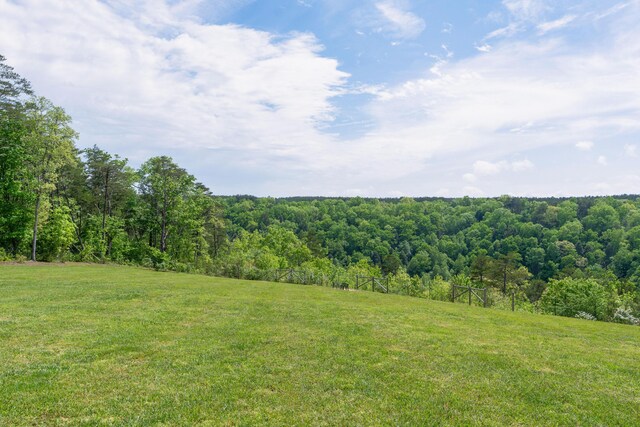 3086 Poe Rd, Soddy Daisy, TN 37379 - view of wooded area