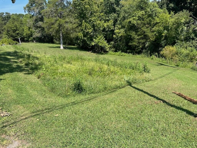 7319 Ooltewah Georgetown Rd, Ooltewah, TN 37363 - view of local wilderness
