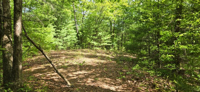 0 Towee Mountain Dr, Reliance, TN 37369