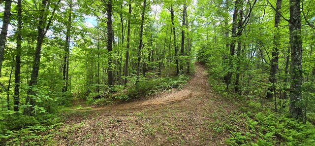 0 Towee Mountain Dr, Reliance, TN 37369