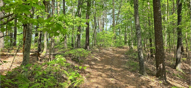 0 Towee Mountain Dr, Reliance, TN 37369