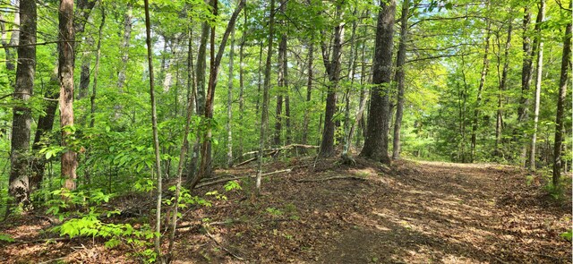 0 Towee Mountain Dr, Reliance, TN 37369