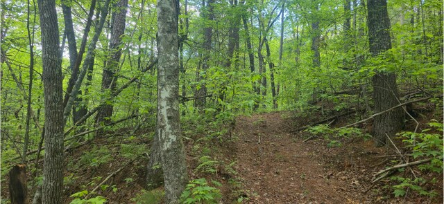 0 Towee Mountain Dr, Reliance, TN 37369