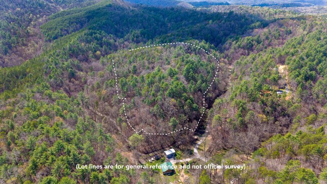 0 Towee Mountain Dr, Reliance, TN 37369