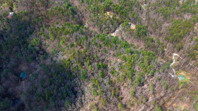 0 Towee Mountain Dr, Reliance, TN 37369