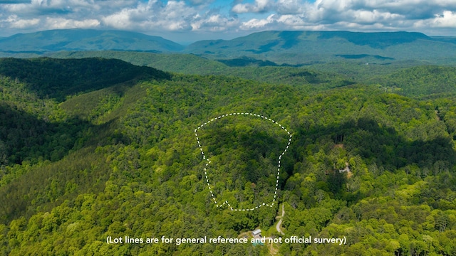 0 Towee Mountain Dr, Reliance, TN 37369