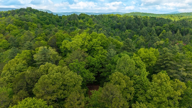 0 Towee Mountain Dr, Reliance, TN 37369
