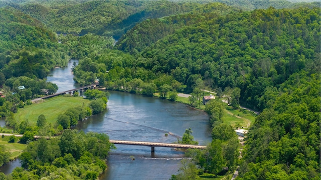 0 Towee Mountain Dr, Reliance, TN 37369