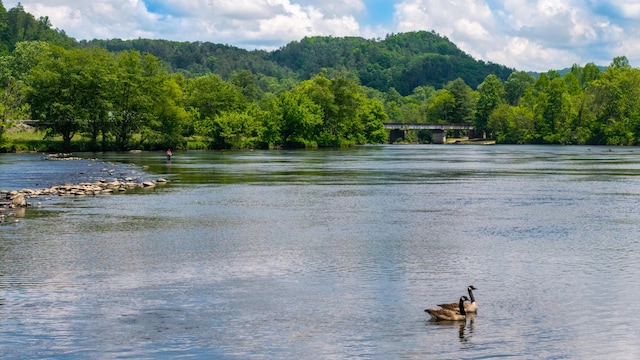 0 Towee Mountain Dr, Reliance, TN 37369