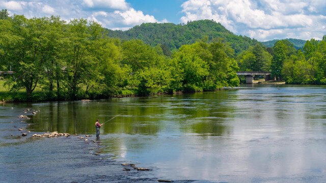 0 Towee Mountain Dr, Reliance, TN 37369