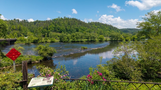0 Towee Mountain Dr, Reliance, TN 37369