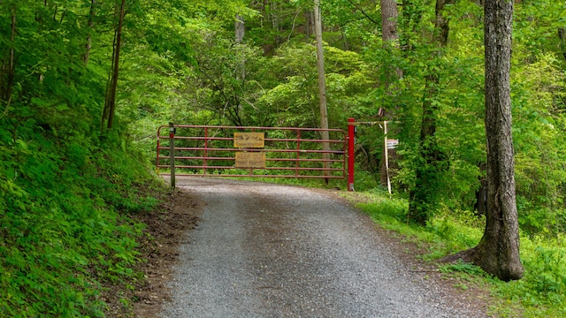 0 Towee Mountain Dr, Reliance, TN 37369
