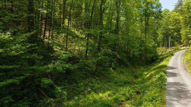 0 Towee Mountain Dr, Reliance, TN 37369