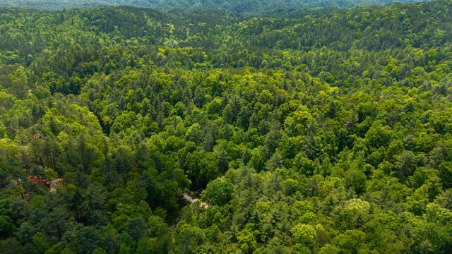 0 Towee Mountain Dr, Reliance, TN 37369