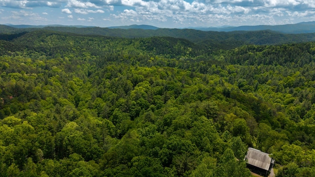 0 Towee Mountain Dr, Reliance, TN 37369