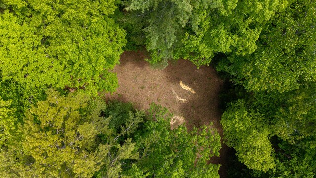 0 Towee Mountain Dr, Reliance, TN 37369