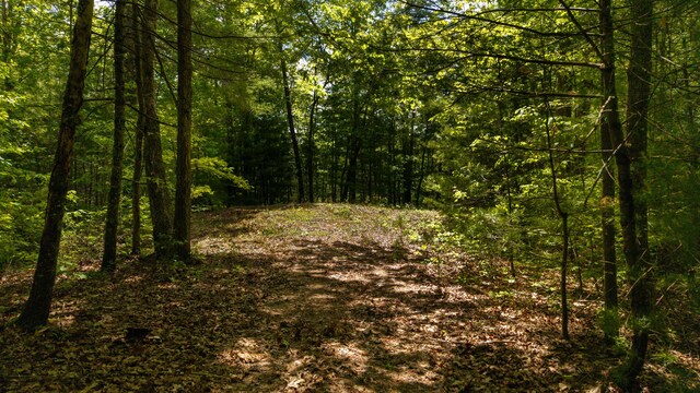 0 Towee Mountain Dr, Reliance, TN 37369
