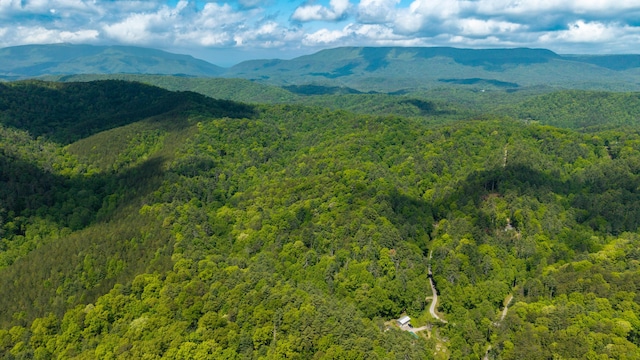 0 Towee Mountain Dr, Reliance, TN 37369