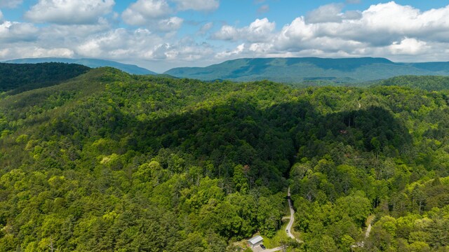 0 Towee Mountain Dr, Reliance, TN 37369