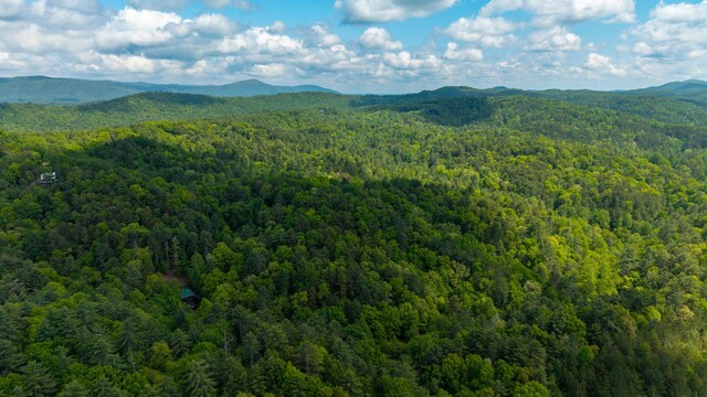 0 Towee Mountain Dr, Reliance, TN 37369