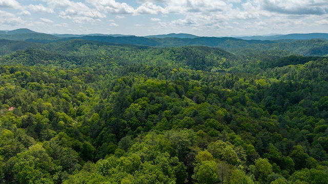 0 Towee Mountain Dr, Reliance, TN 37369