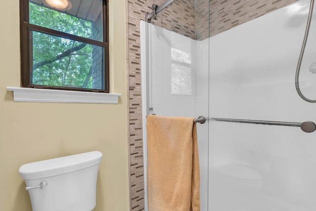 full bathroom featuring toilet and a shower stall