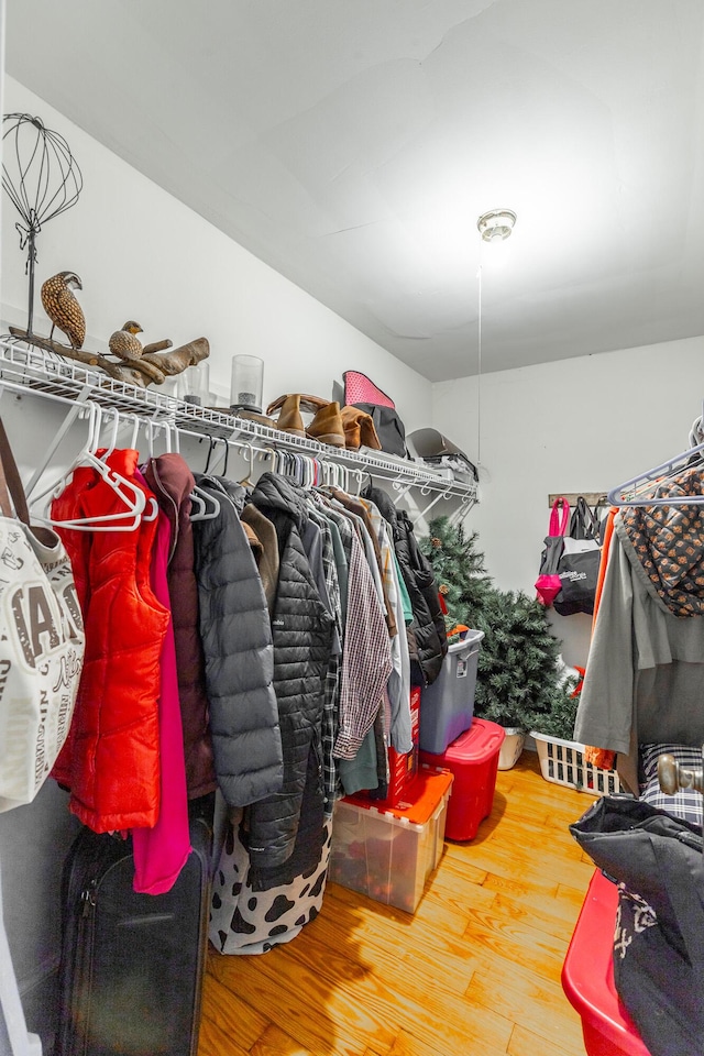 204 Lee-Gordon Mill Rd, Chickamauga, GA 30707 - walk in closet featuring wood finished floors