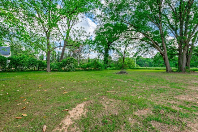 204 Lee-Gordon Mill Rd, Chickamauga, GA 30707 - view of grassy yard