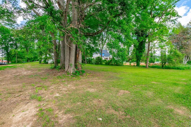 204 Lee-Gordon Mill Rd, Chickamauga, GA 30707 - view of yard