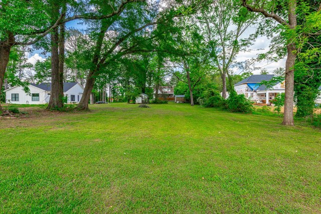 204 Lee-Gordon Mill Rd, Chickamauga, GA 30707 - view of green lawn