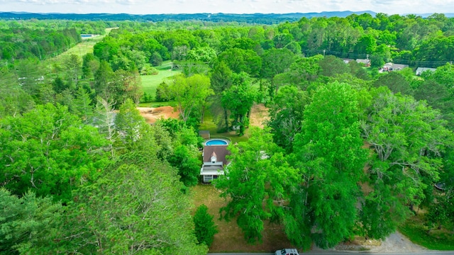 204 Lee-Gordon Mill Rd, Chickamauga, GA 30707 - drone / aerial view of a forest