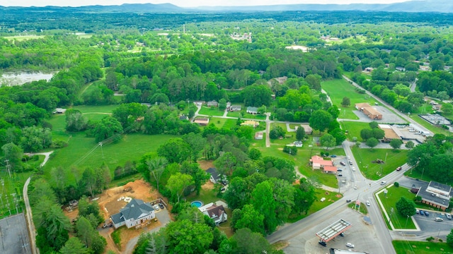 204 Lee-Gordon Mill Rd, Chickamauga, GA 30707 - drone / aerial view of a forest