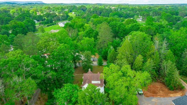204 Lee-Gordon Mill Rd, Chickamauga, GA 30707 - drone / aerial view of a forest
