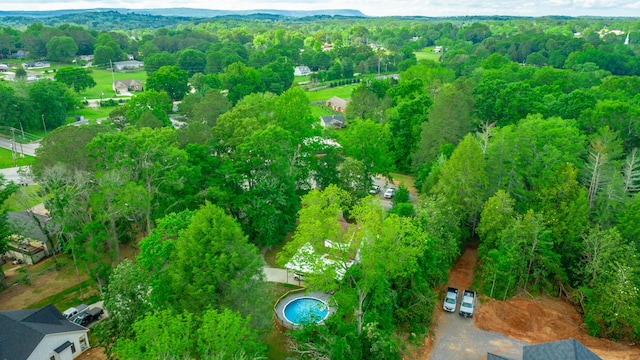 204 Lee-Gordon Mill Rd, Chickamauga, GA 30707 - aerial view of a heavily wooded area