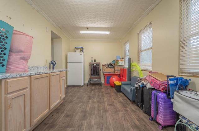 interior space with crown molding and dark wood-type flooring