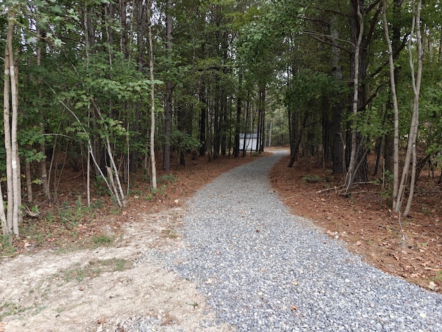 view of street with a forest view