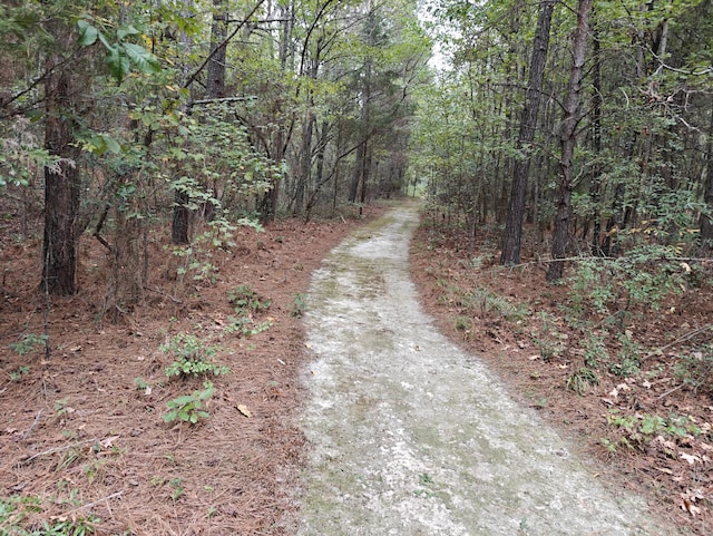 view of street with a forest view