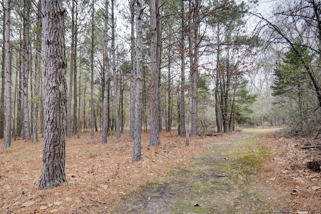 view of local wilderness with a view of trees