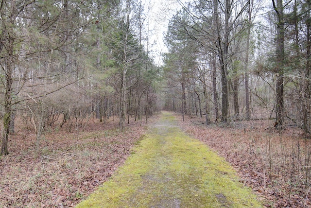 view of road with a forest view